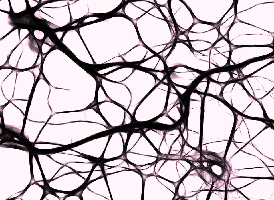 Fascias qu'est ce que c'est ?